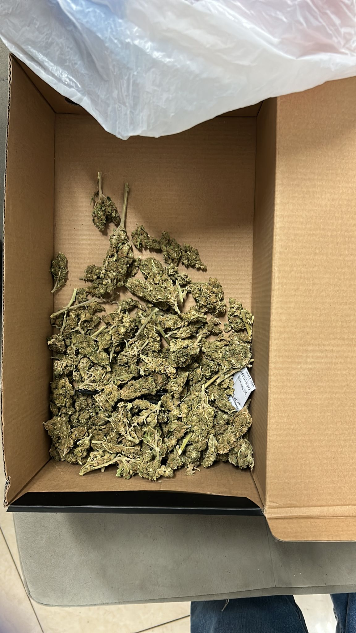 WhatsApp Image 2024-07-11 at 10.53.21_443b139c.jpg